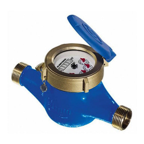 Water Meter 1.50″