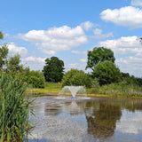 Decorative Aerating Fountain - Image 4